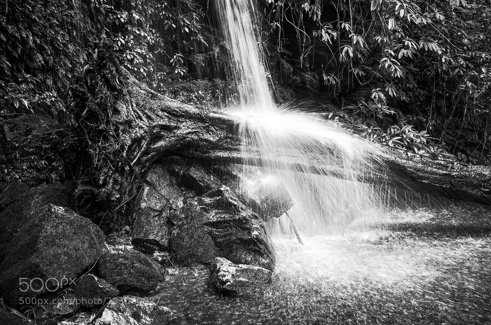 Ricoh GR II sample photo. Chiang mai, thailand photography