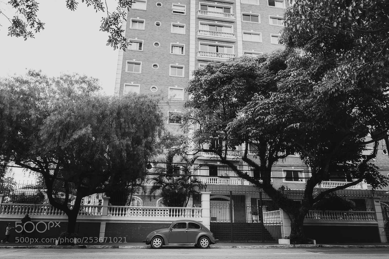 Sony a6000 sample photo. Untitled photography