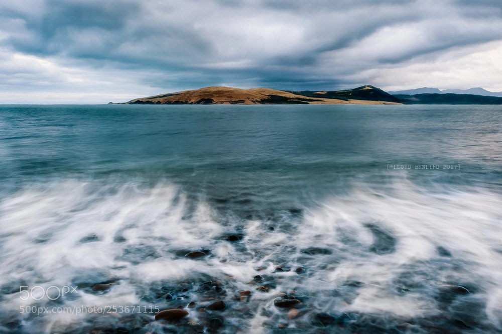 Nikon D700 sample photo. Blue morning in hokianga photography