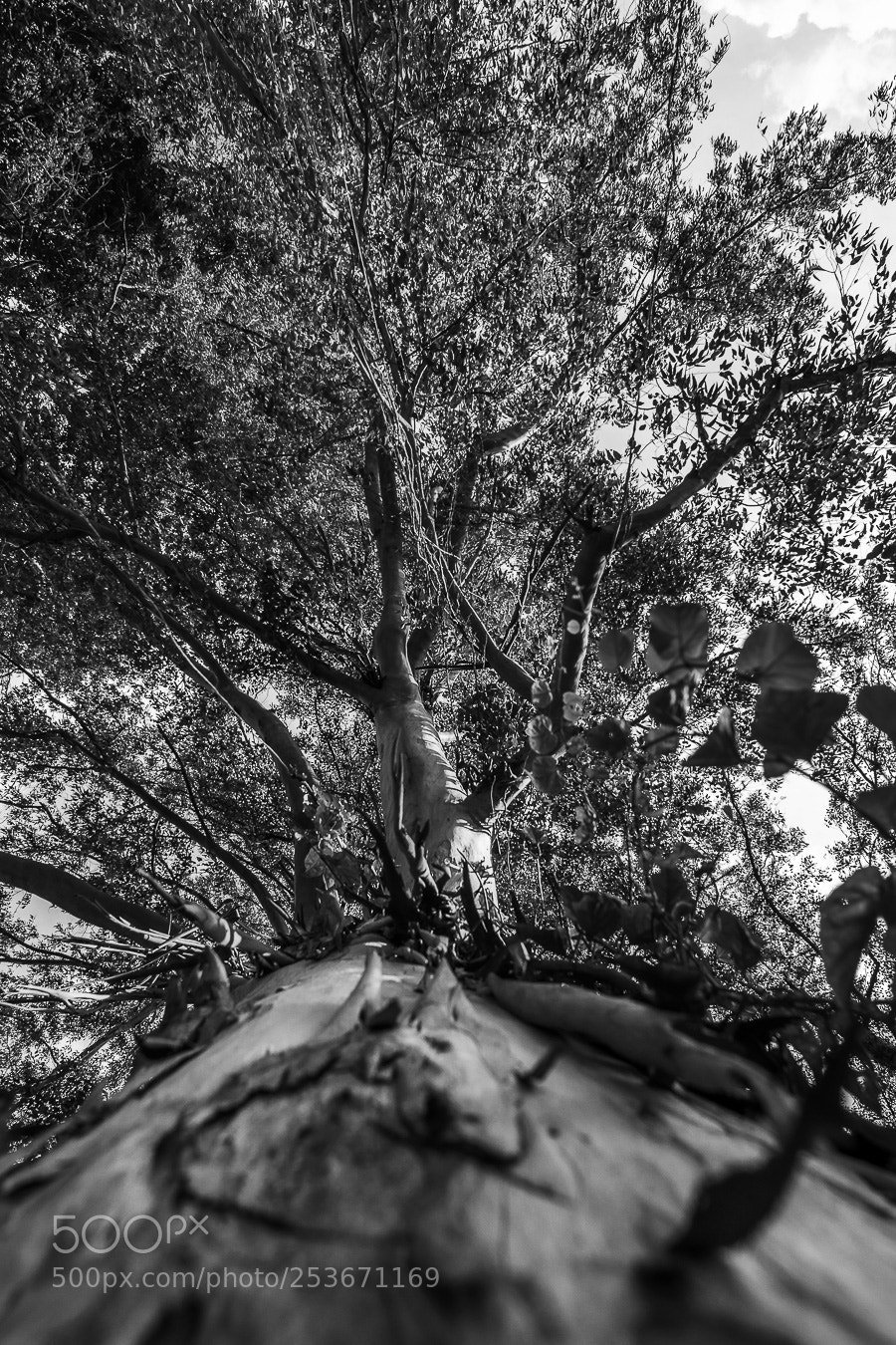 Sony a6000 sample photo. Untitled photography