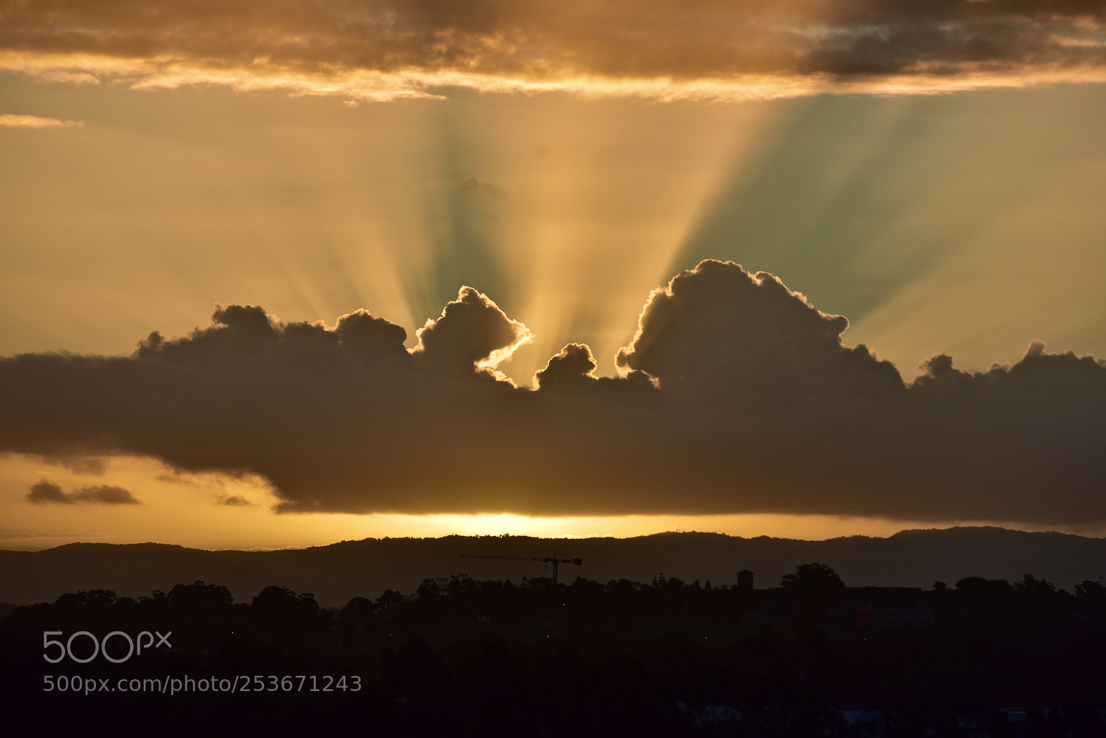 Nikon D810 sample photo. View from the airport photography