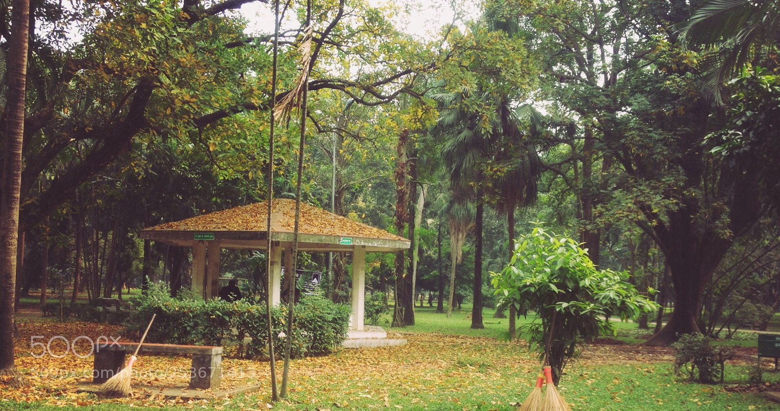 Apple iPhone 4S sample photo. #green
#nature photography