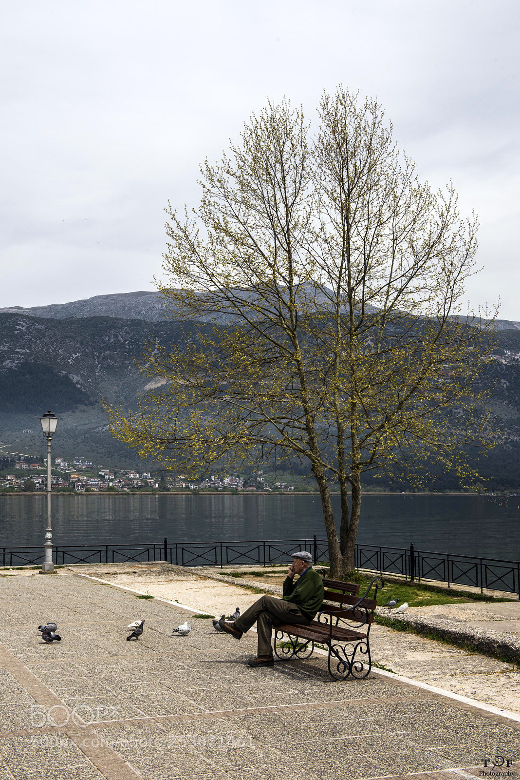 Nikon D610 sample photo. Untitled photography