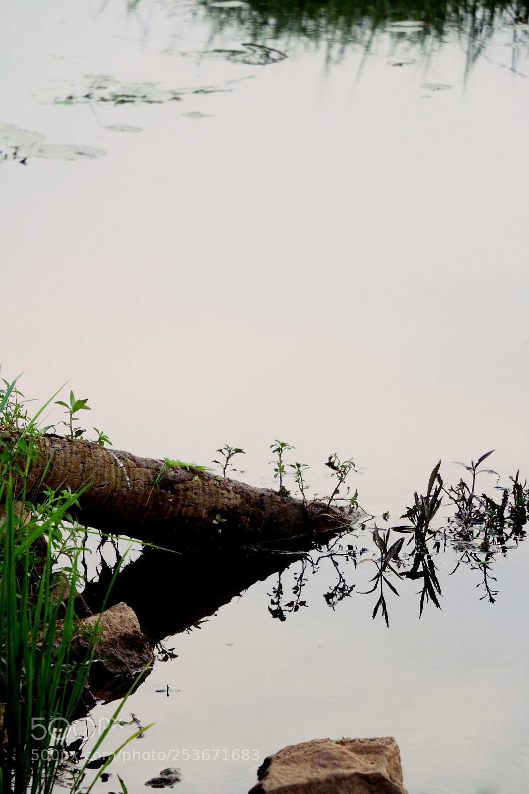 Canon EOS 70D sample photo. Art of solitude under photography
