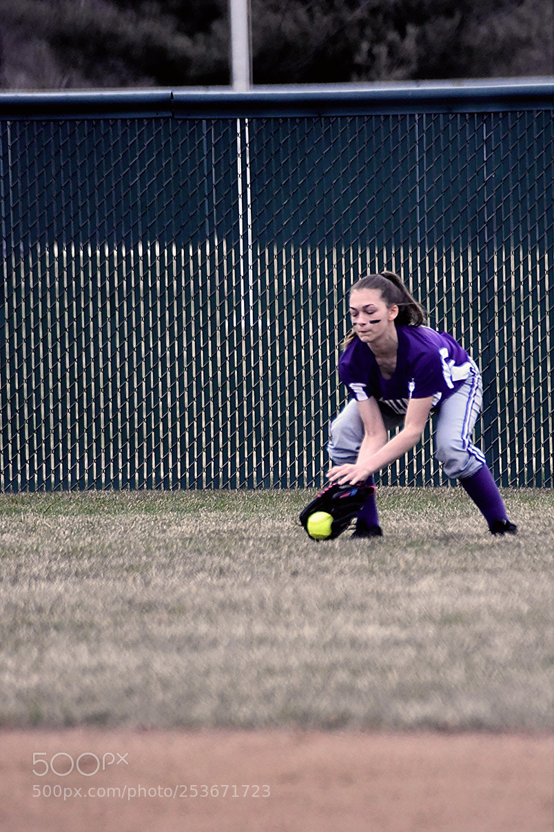 Nikon D500 sample photo. Softball photography