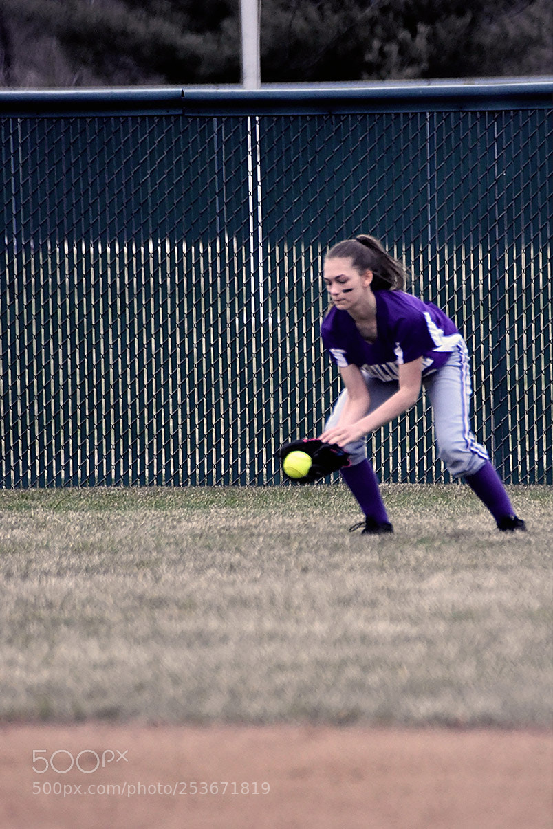 Nikon D500 sample photo. Softball photography