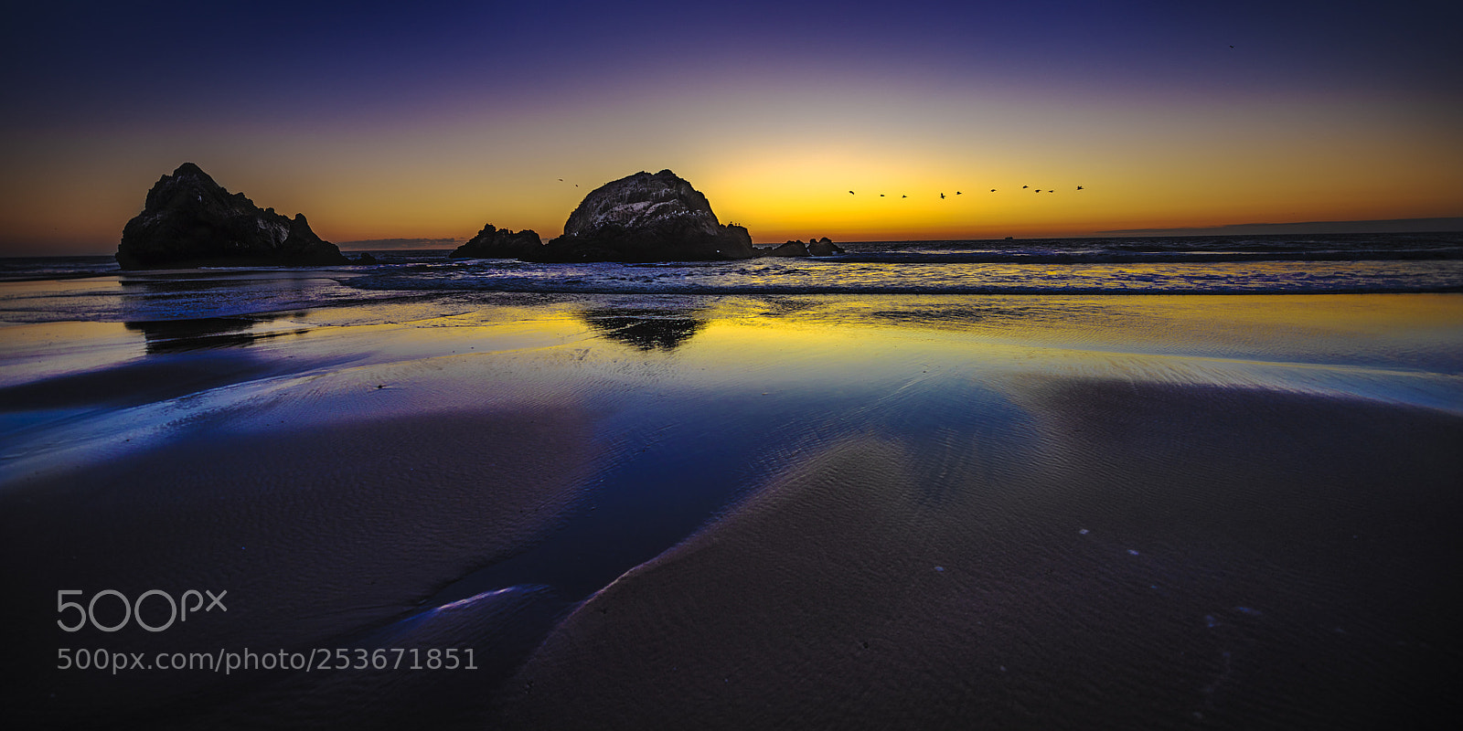 Nikon D810 sample photo. Point lobos beach dusk #24 photography