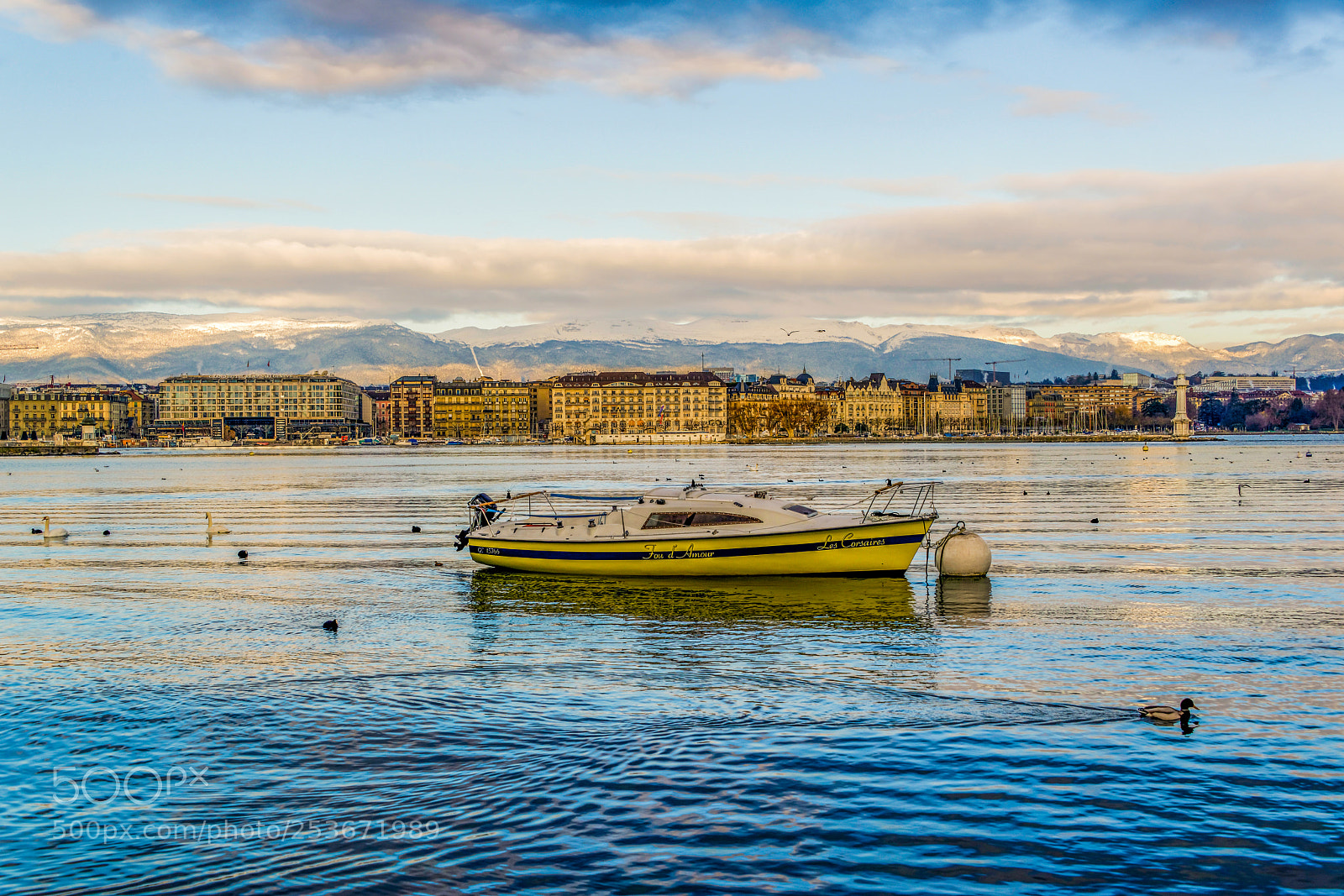 Nikon D800 sample photo. Winter morning in geneva photography