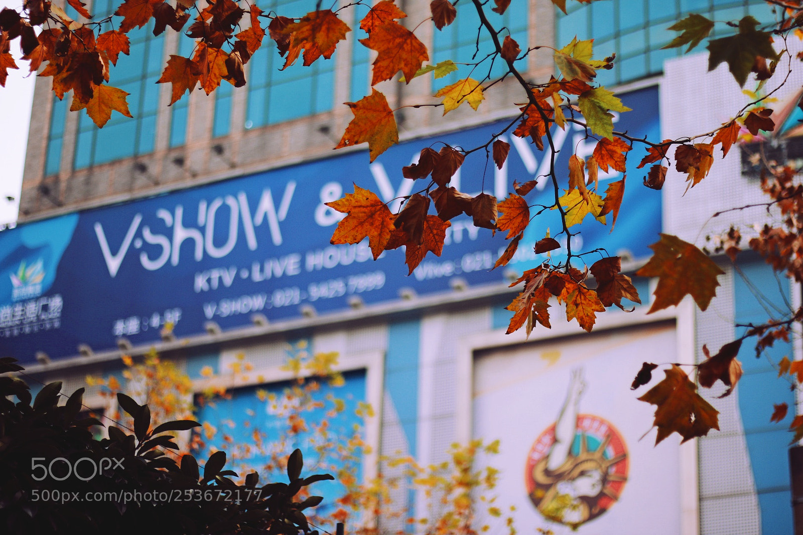 Canon EOS 750D (EOS Rebel T6i / EOS Kiss X8i) sample photo. Shanghai photography