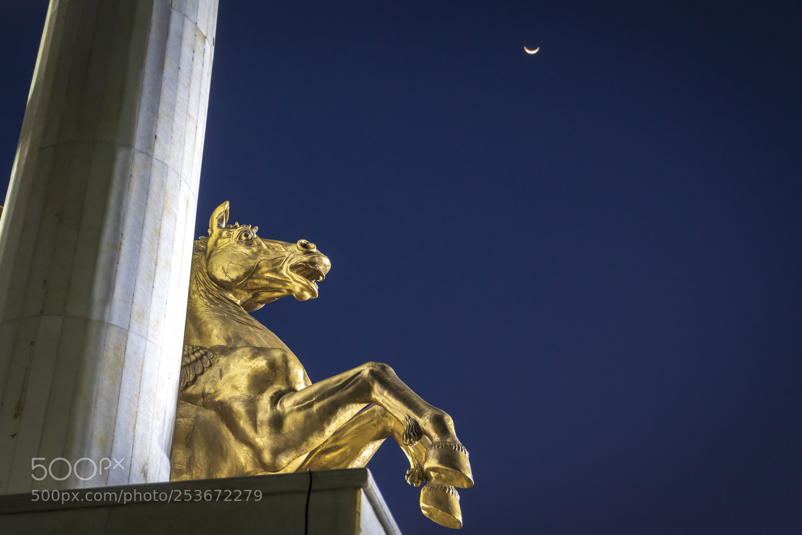 Sony a7 II sample photo. Horse to the moon photography