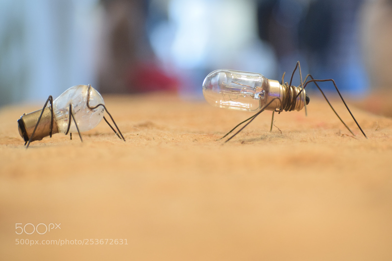 Nikon D3300 sample photo. Mini heroes photography