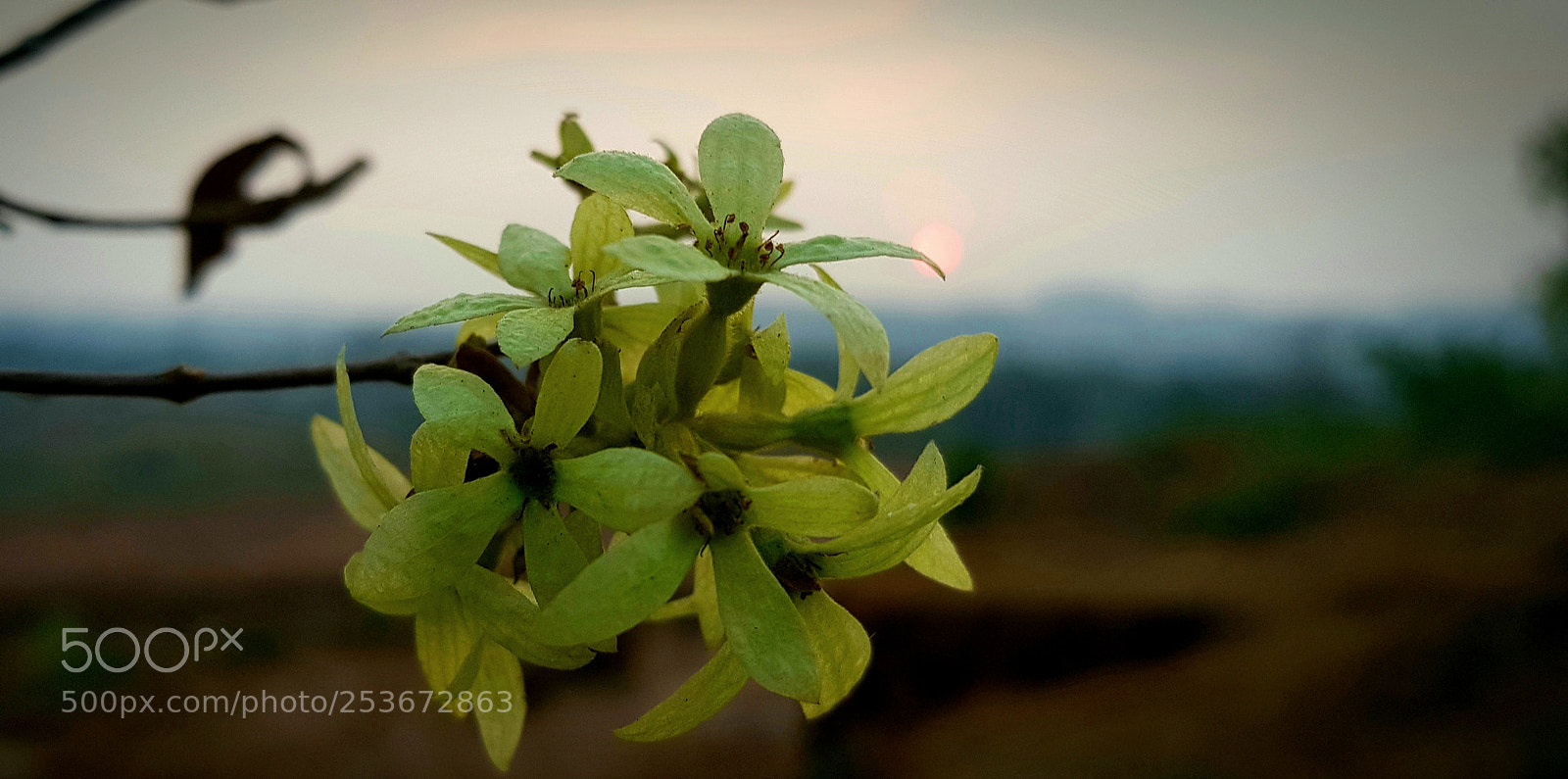Samsung Galaxy S8 sample photo. Sunset,,,, photography