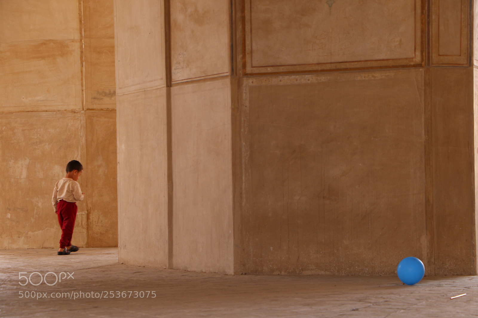 Canon EOS 7D Mark II sample photo. Untitled photography