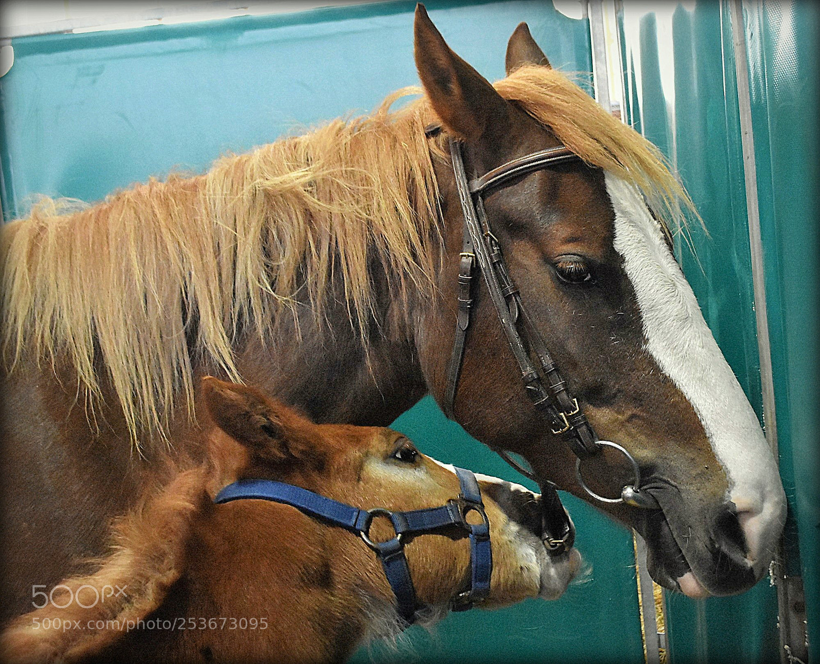 Nikon D7200 sample photo. "come on" photography