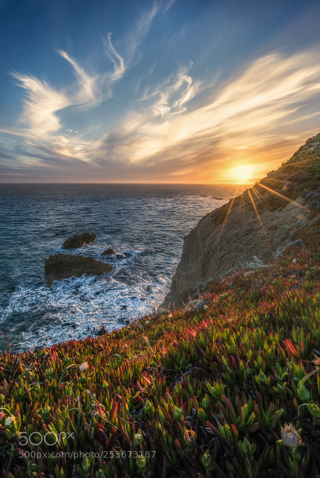 Nikon D850 sample photo. Marin headlands photography