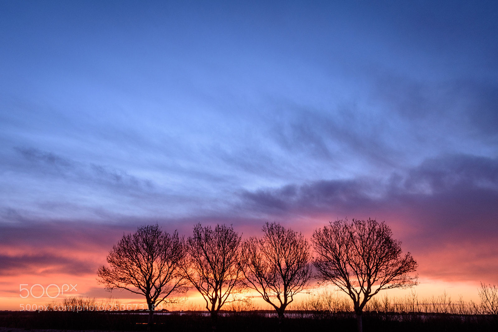 Nikon D5500 sample photo. Happy sunrise photography