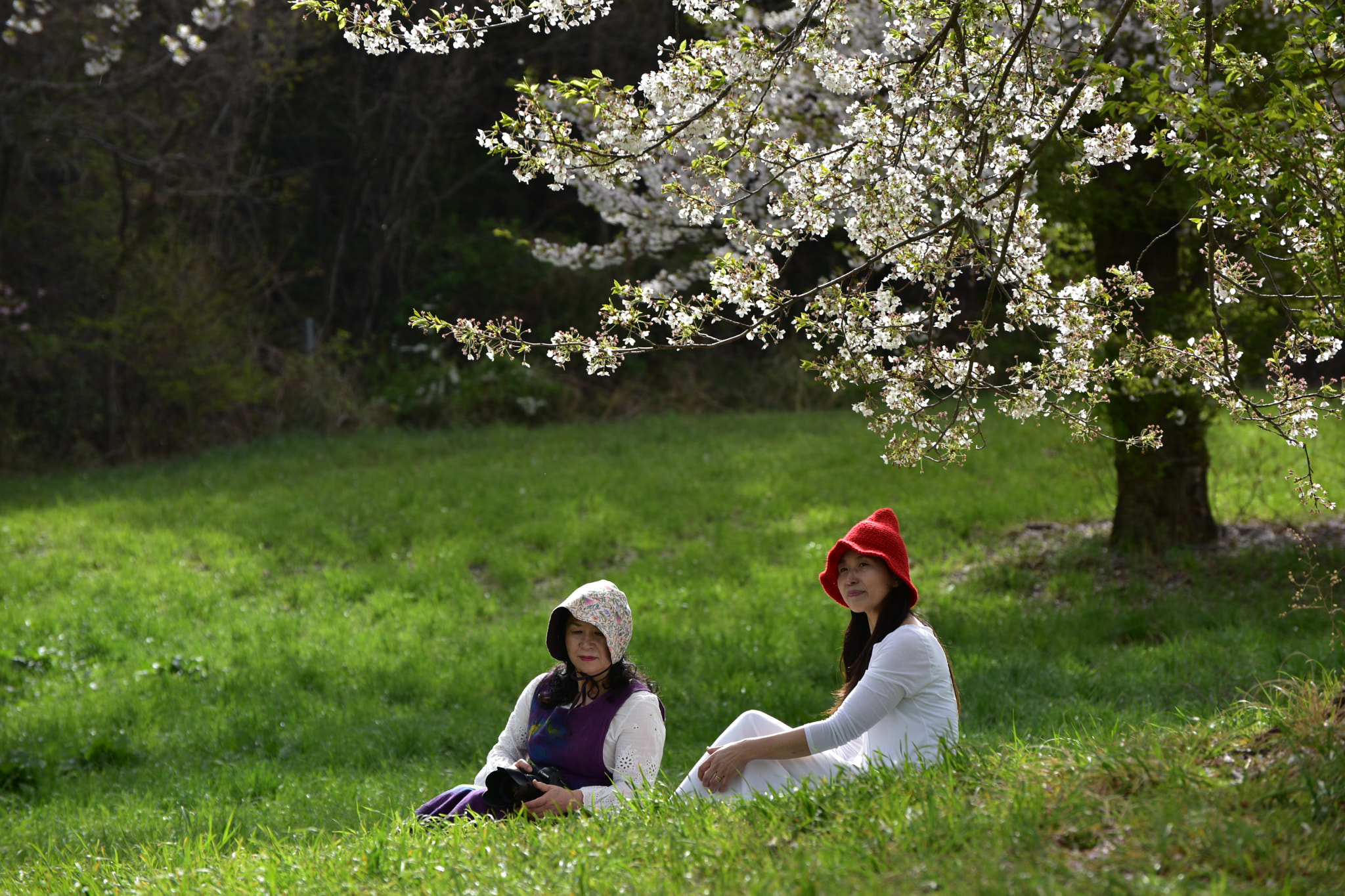Nikon D810 sample photo