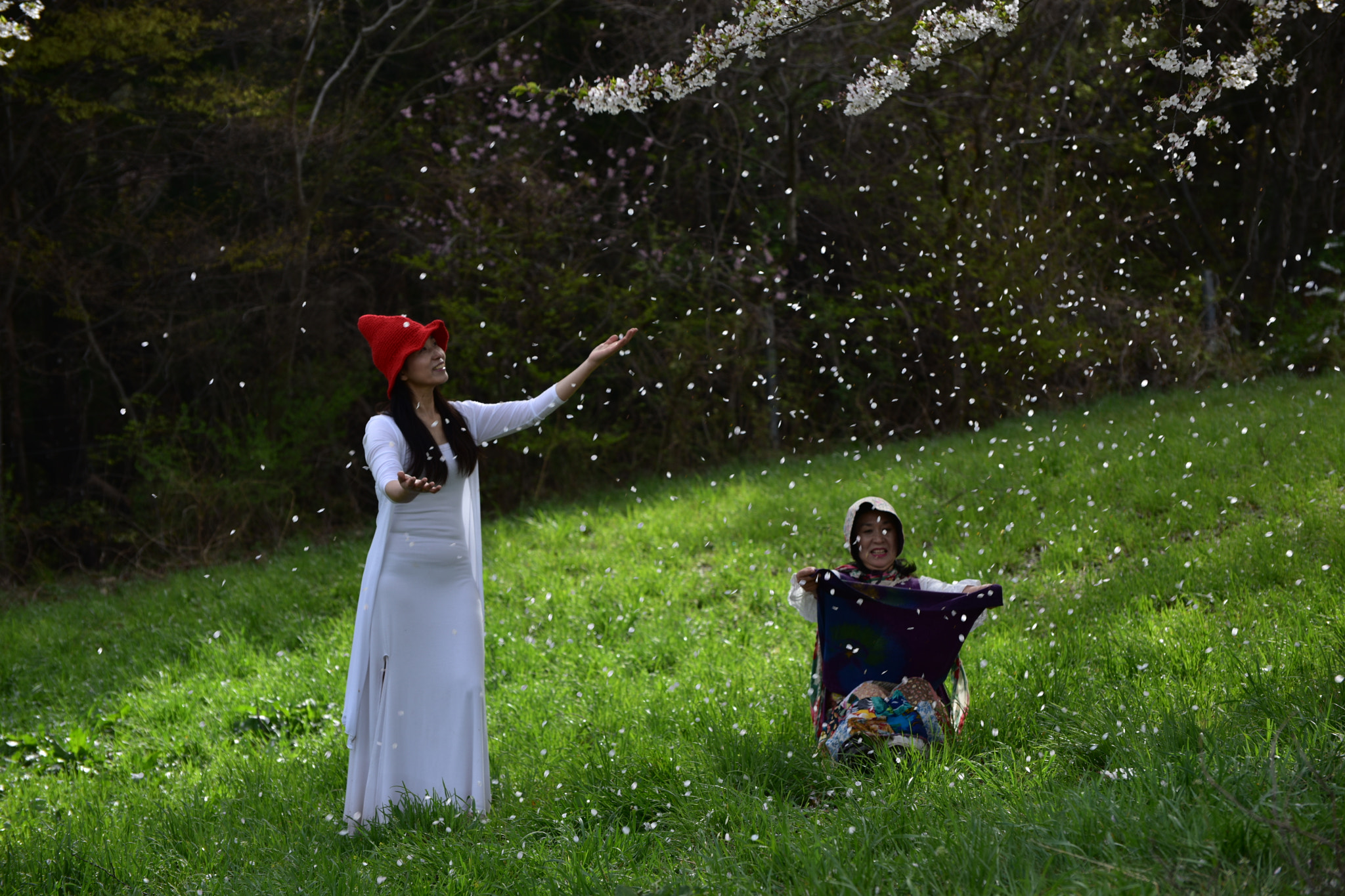 Nikon D810 sample photo