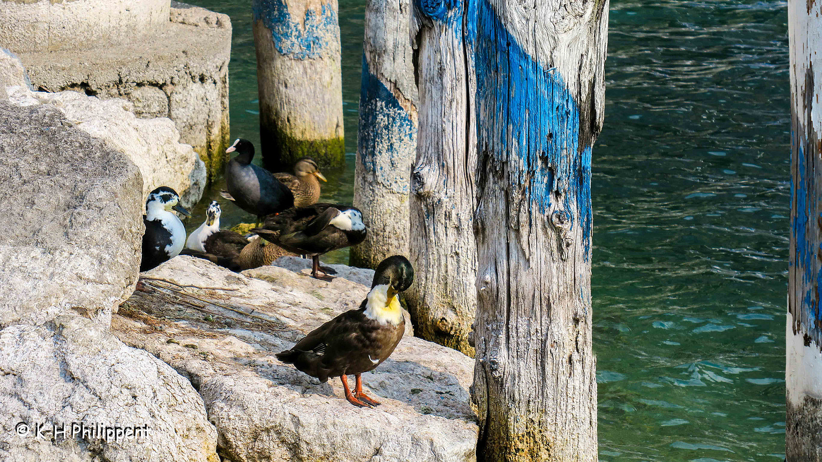 Canon PowerShot G3 X sample photo. Limone sul garda italy photography