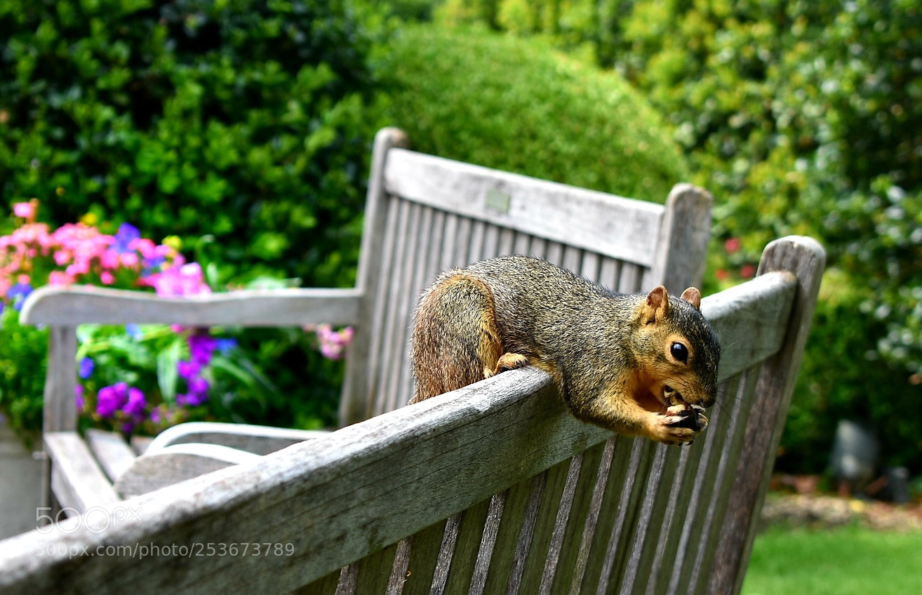 Nikon D3400 sample photo. 20180413_224847-02.jpeg photography