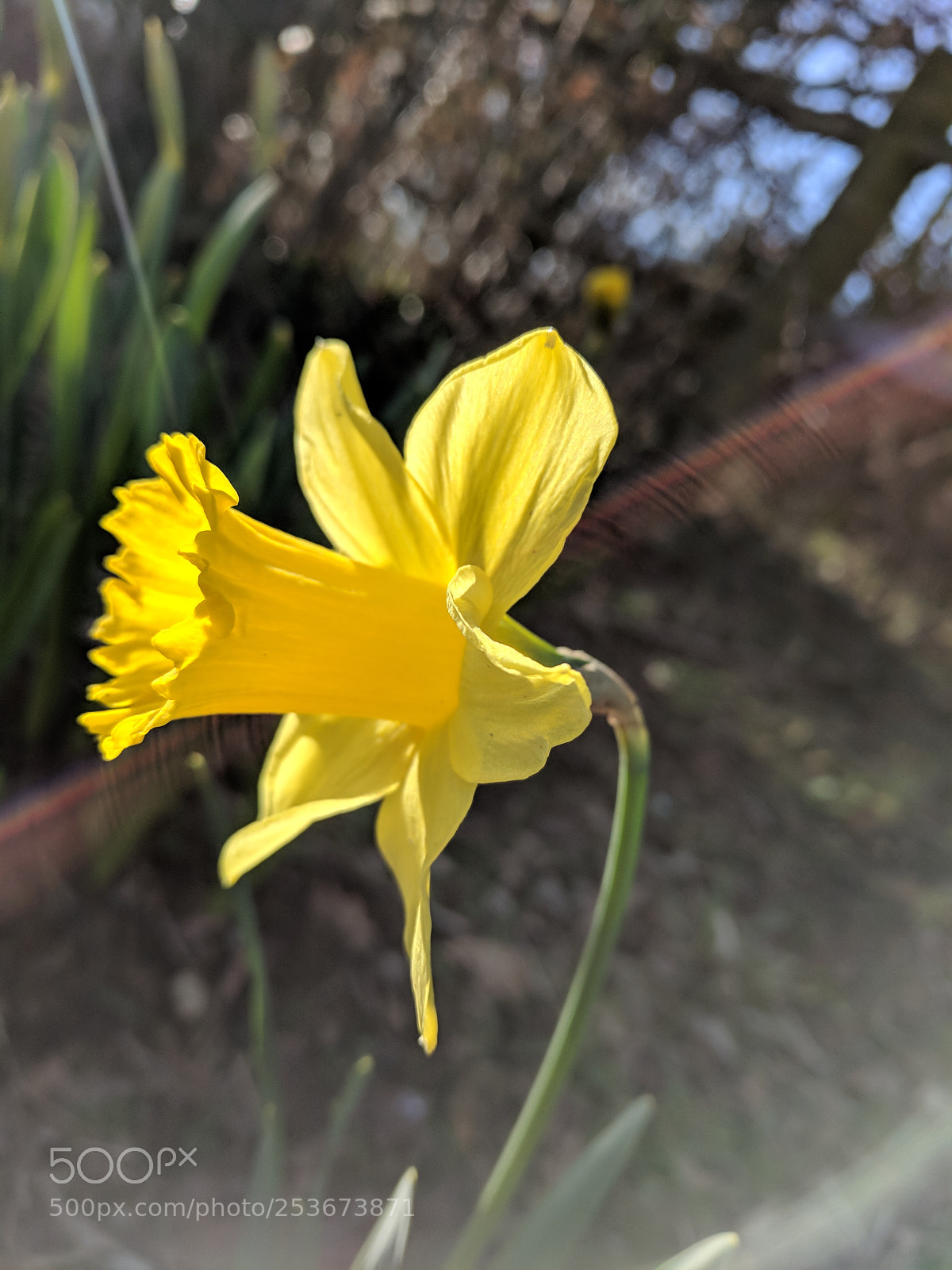 Google Pixel sample photo. Untitled photography