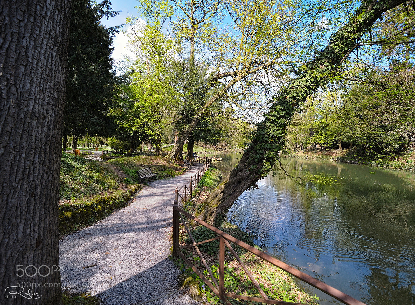 Nikon D3 sample photo. Untitled photography