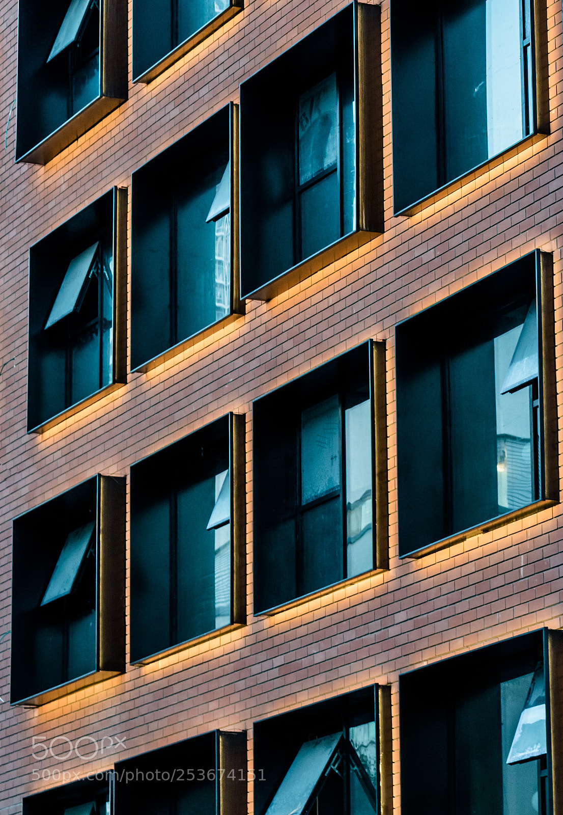 Nikon D5600 sample photo. Patterns photography