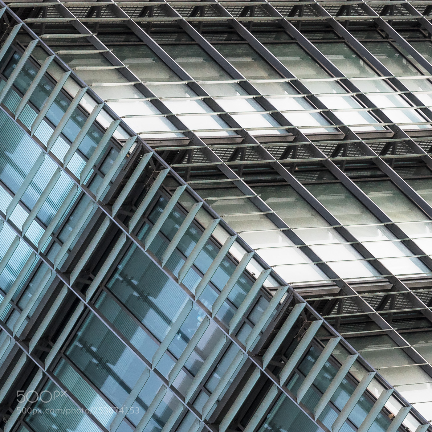 Nikon D5600 sample photo. Patterns photography