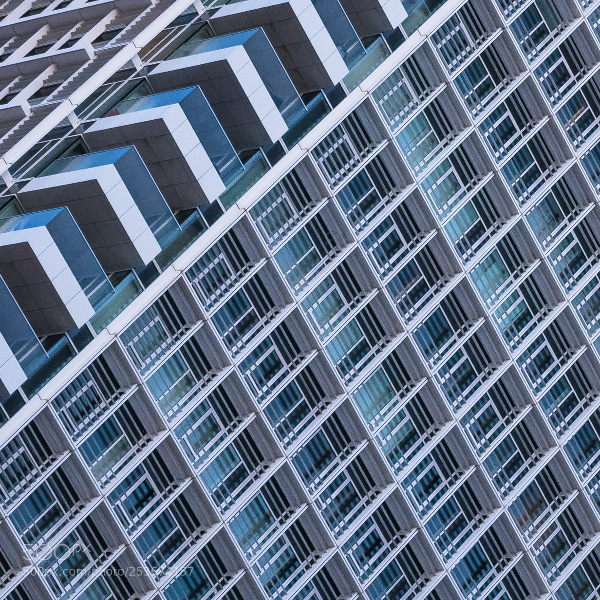 Nikon D5600 sample photo. Patterns photography