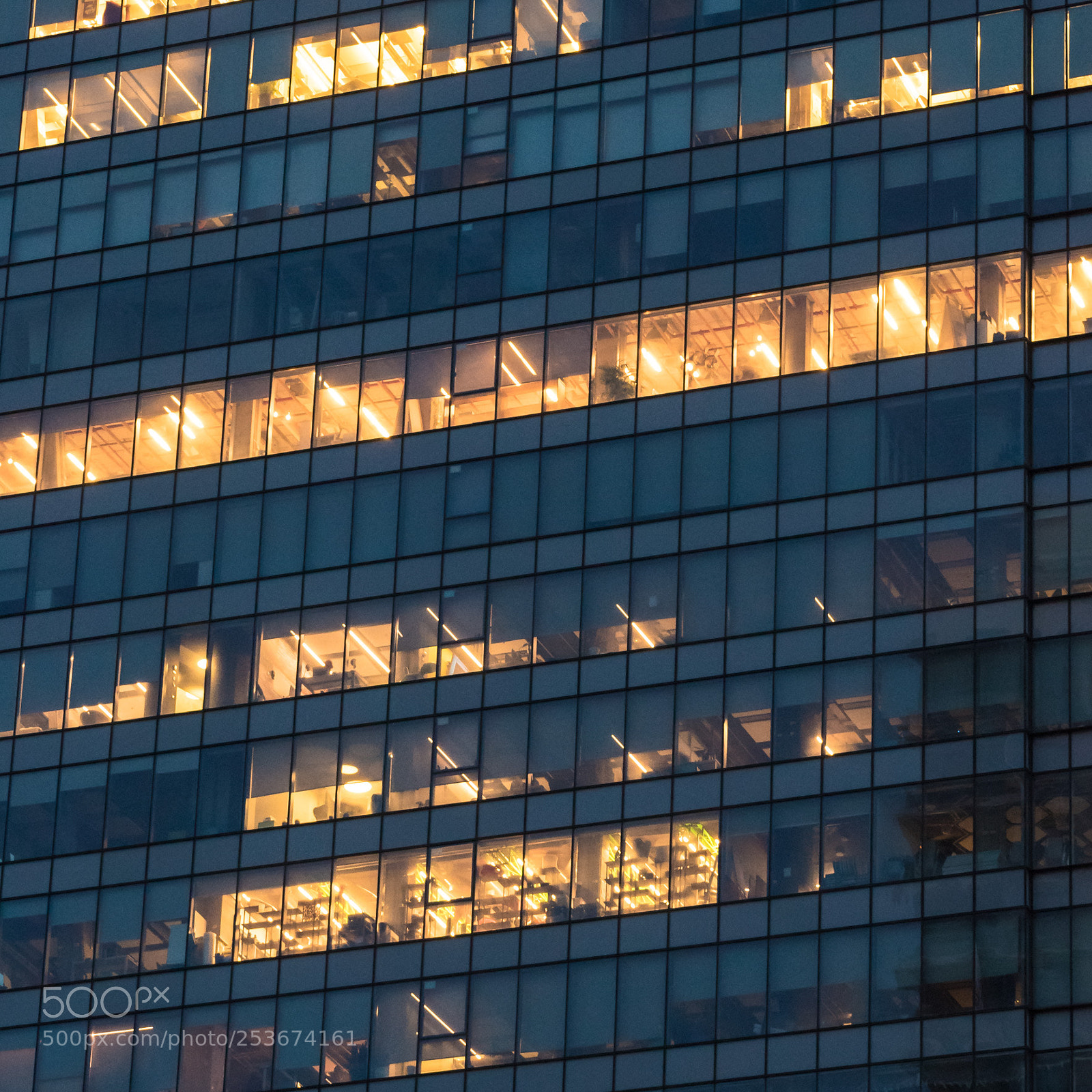 Nikon D5600 sample photo. Patterns photography