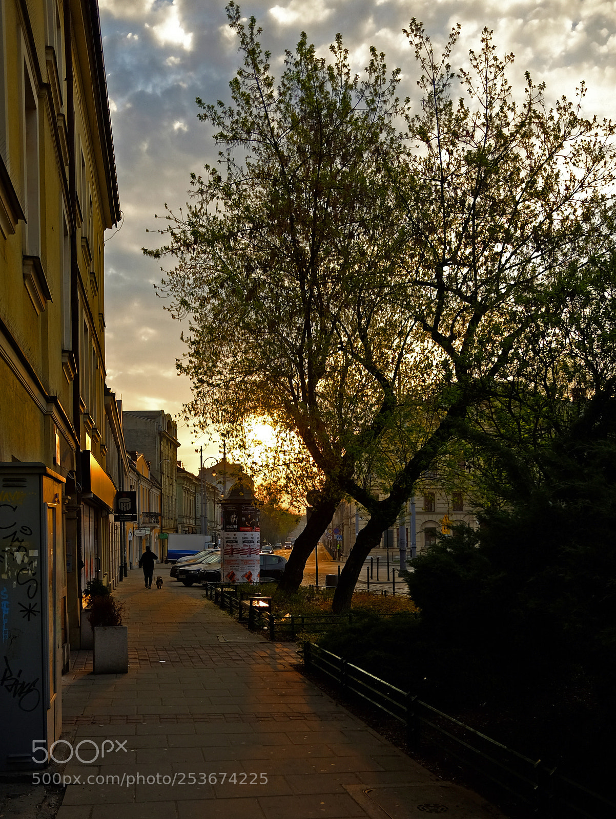 Fujifilm X70 sample photo. The walk photography