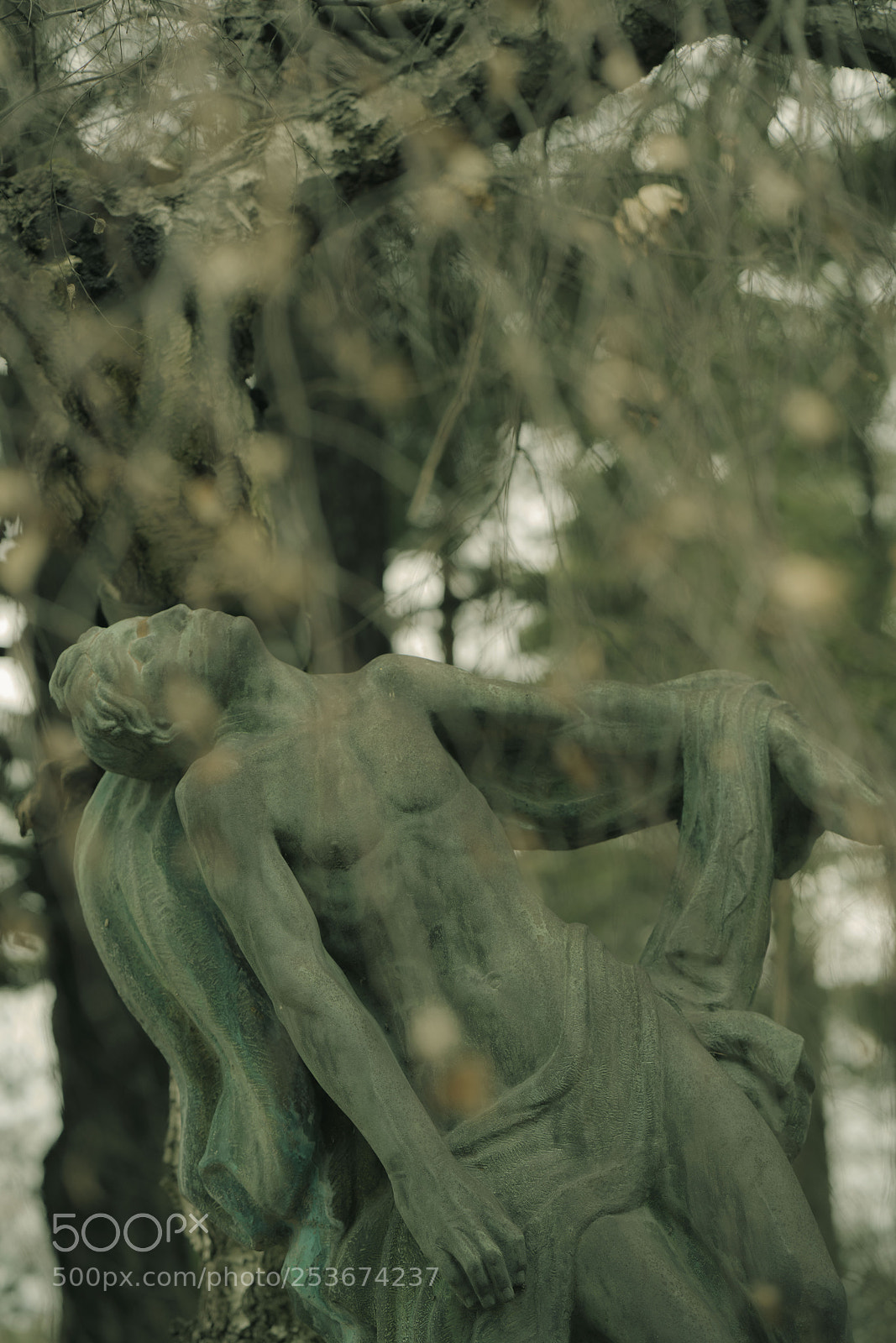 Sony a7R II sample photo. Bronze and tree photography