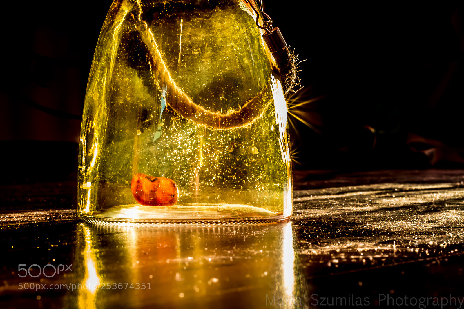 Nikon D7100 sample photo. Catching the light photography