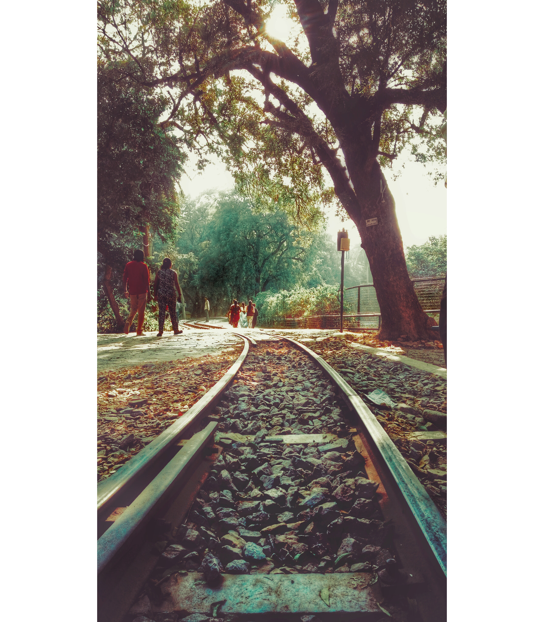 Lenovo VIBE X3 LITE sample photo. E l e g a n c e photography