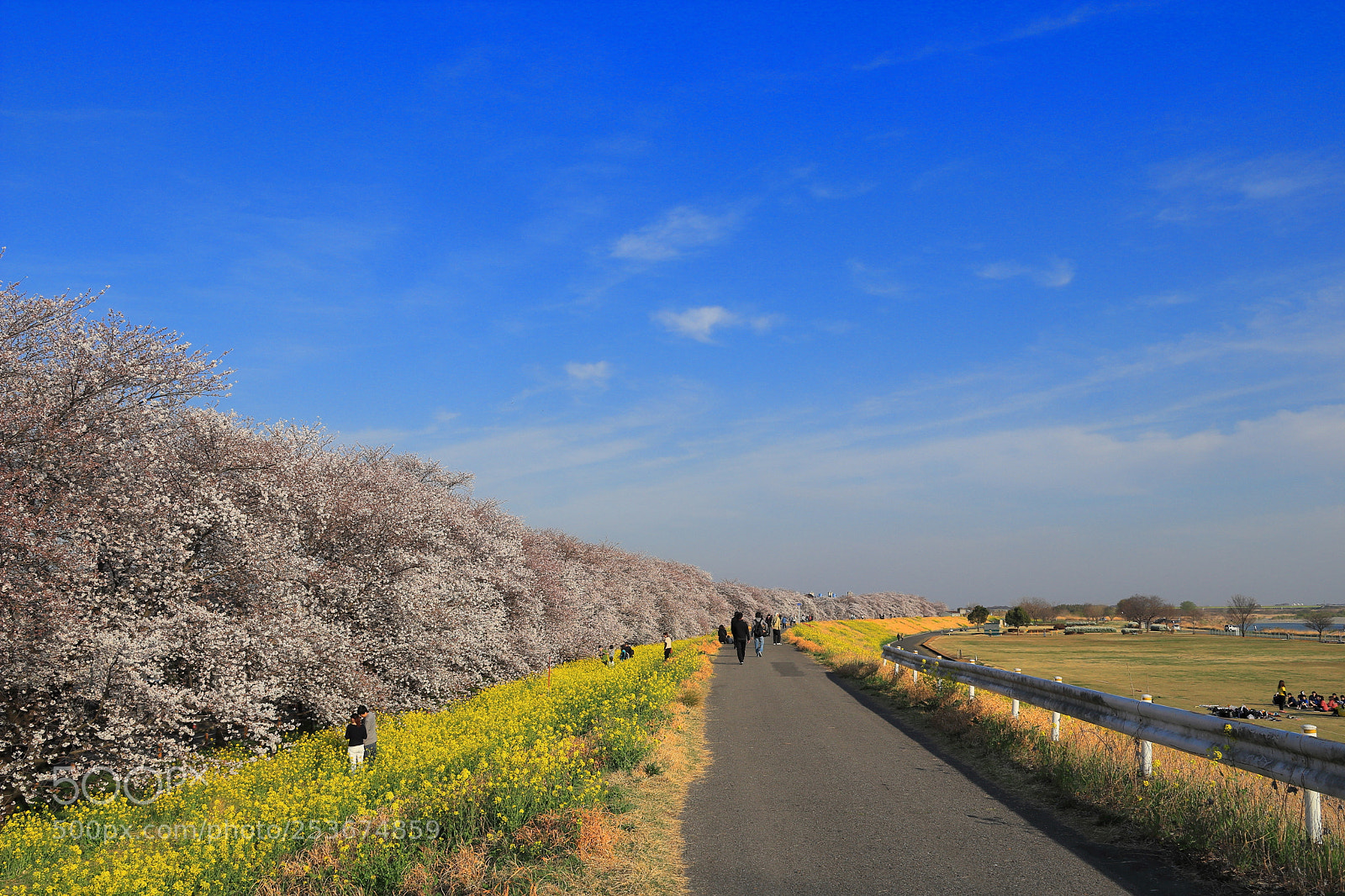 Canon EOS M5 sample photo. Img photography