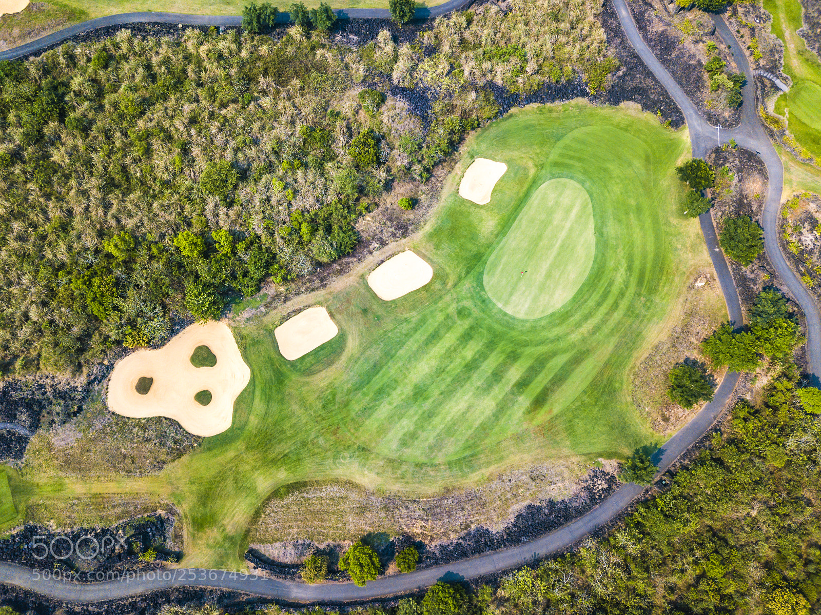 DJI FC220 sample photo. Golf courses on volcanic photography
