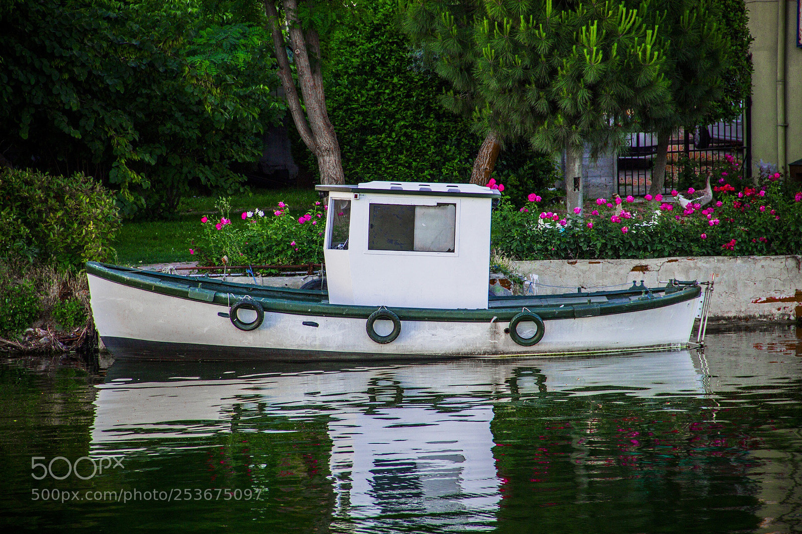 Canon EOS 60D sample photo. Untitled photography