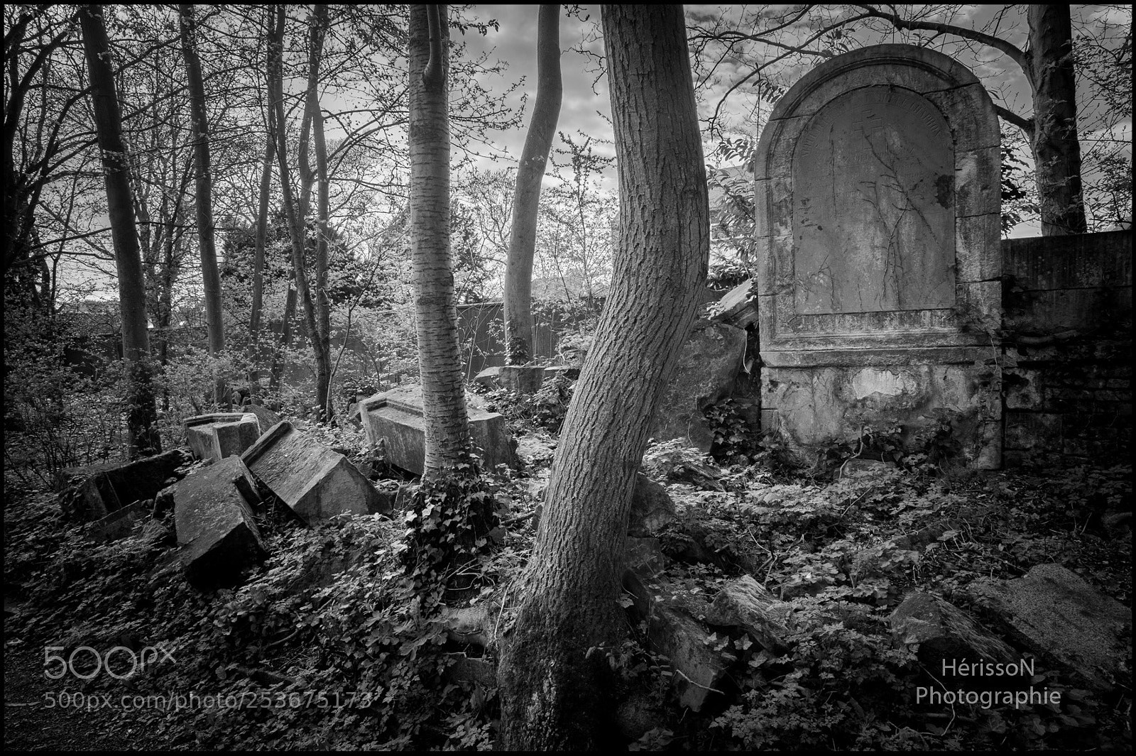 Nikon D700 sample photo. Untitled photography