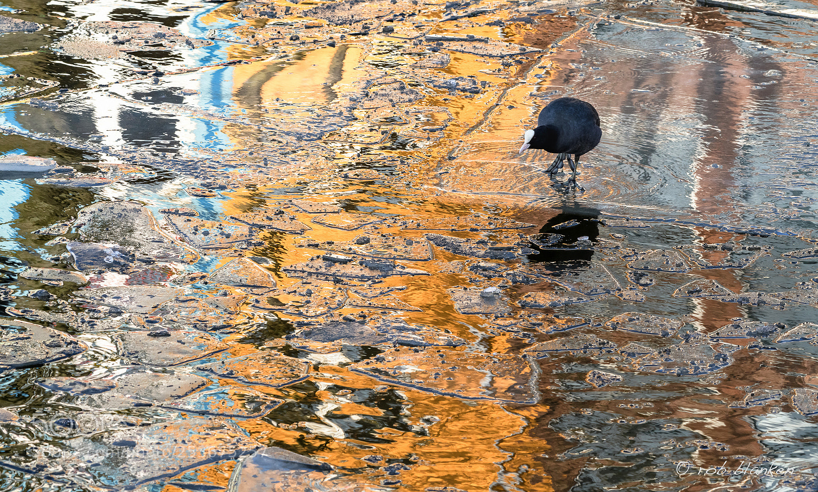 Nikon D850 sample photo. Reflection (7) photography