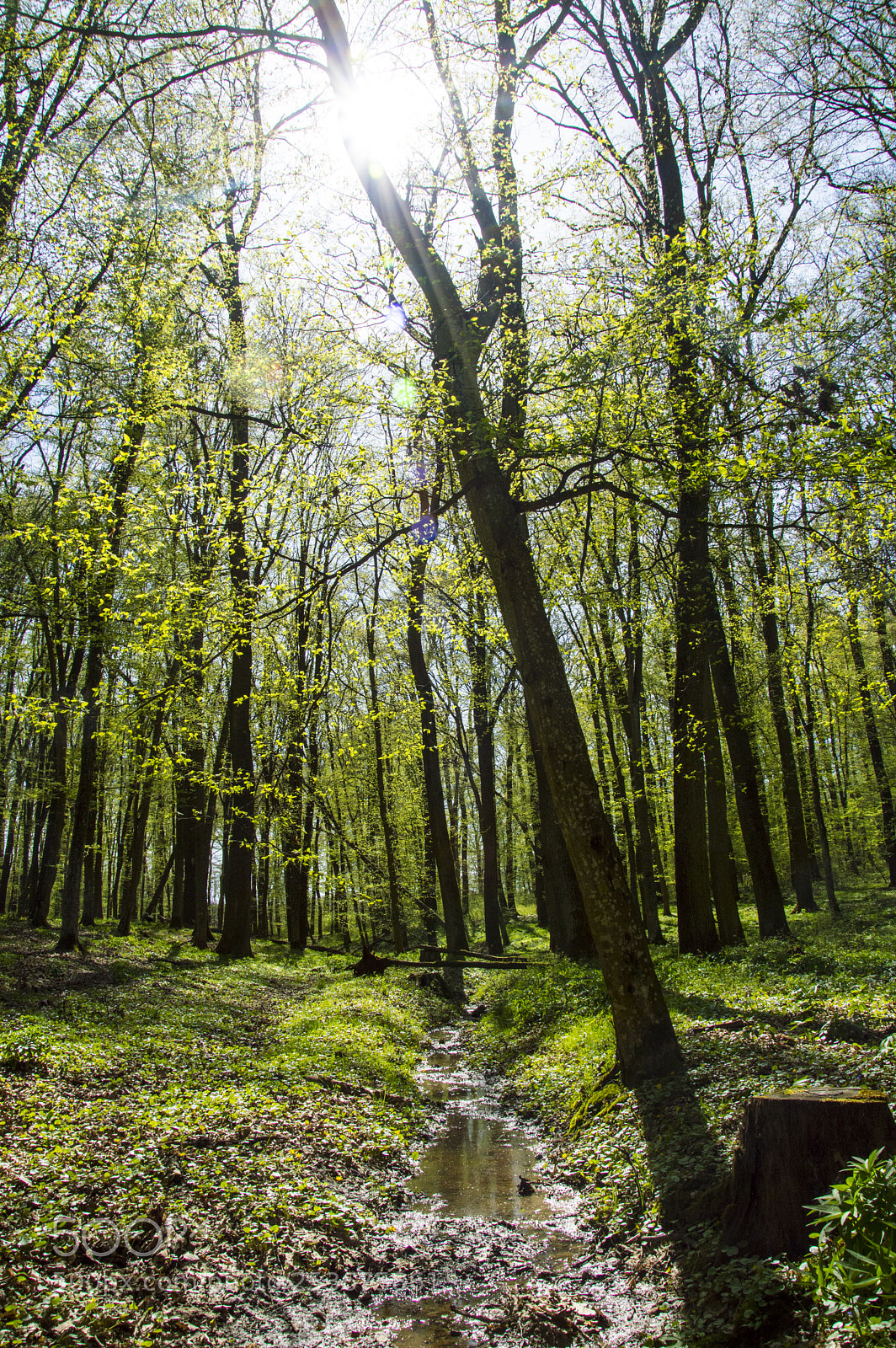 Nikon D3200 sample photo. Fotostura photography