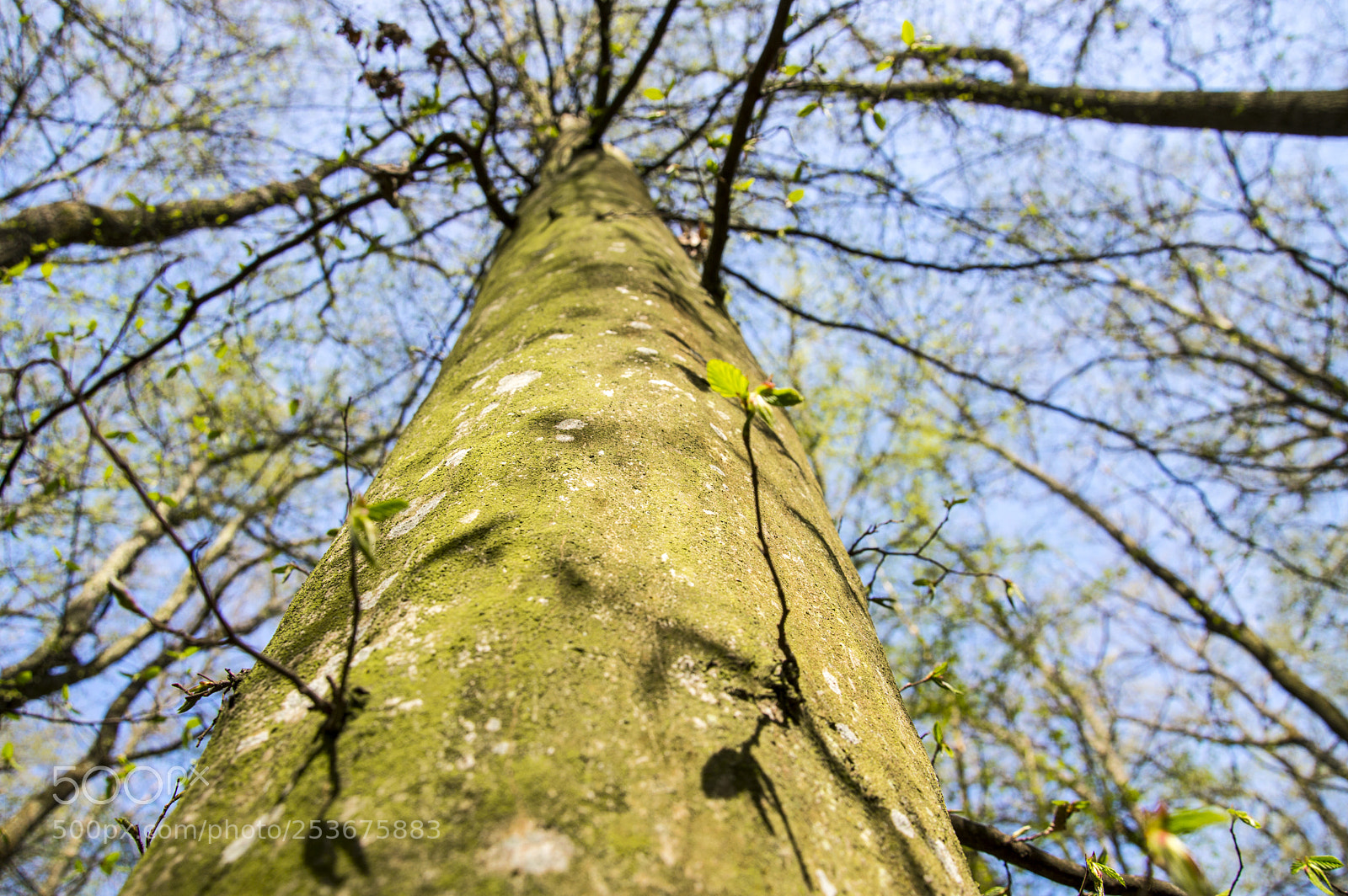 Nikon D3200 sample photo. Fotostura photography