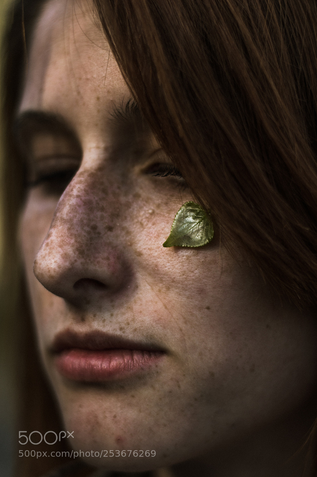 Nikon D3200 sample photo. Tears for leaf photography
