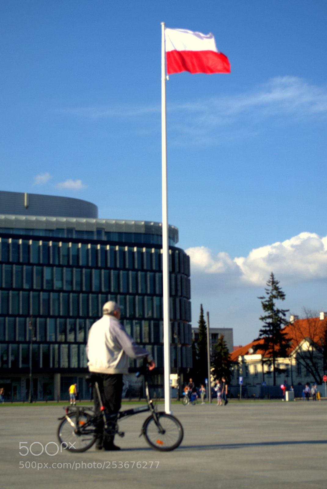 Nikon D3100 sample photo. Flag. photography