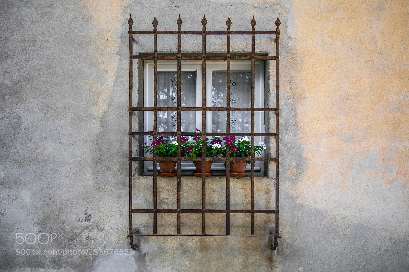Canon EOS 5D Mark IV sample photo. Florence window garden photography