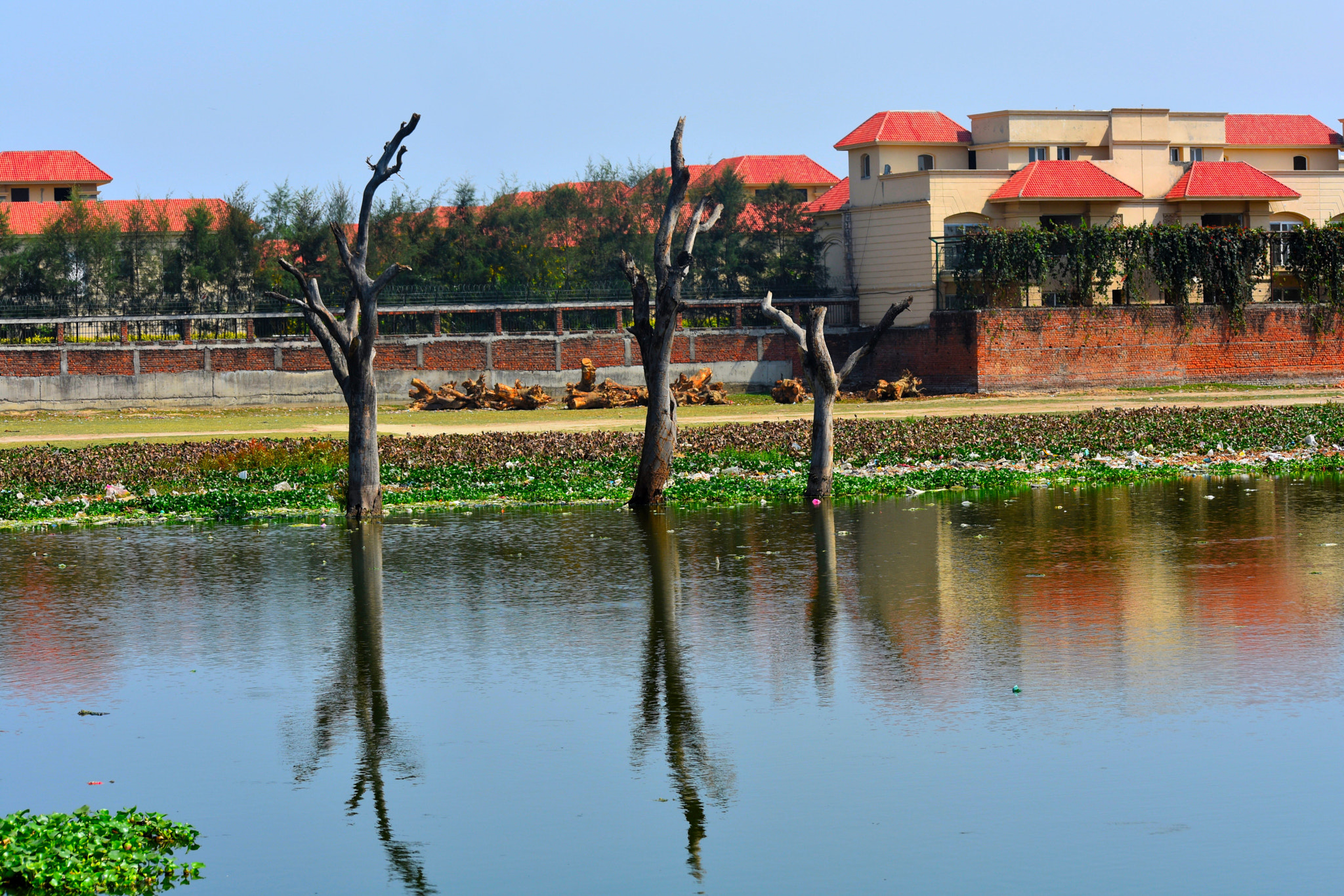 Nikon D3400 sample photo