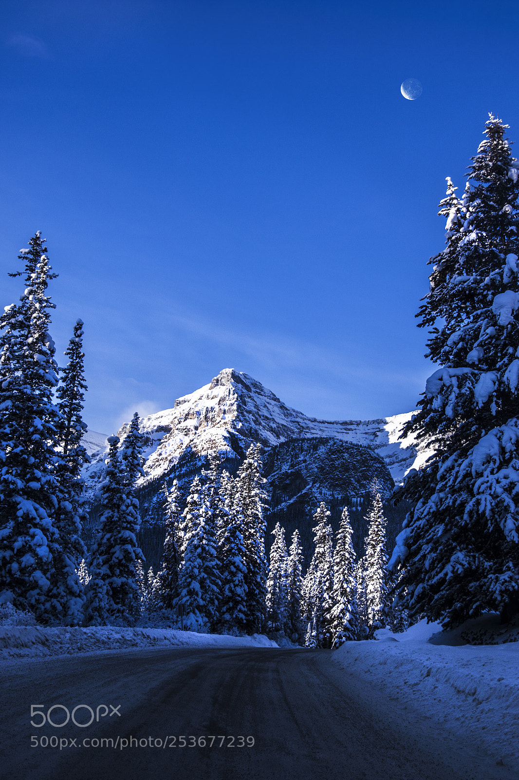 Canon EOS 7D Mark II sample photo. Winter photography