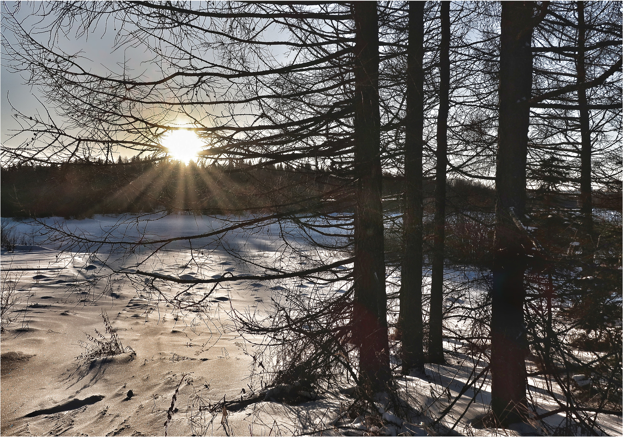 Canon PowerShot G9 X Mark II sample photo. Low winter sun photography