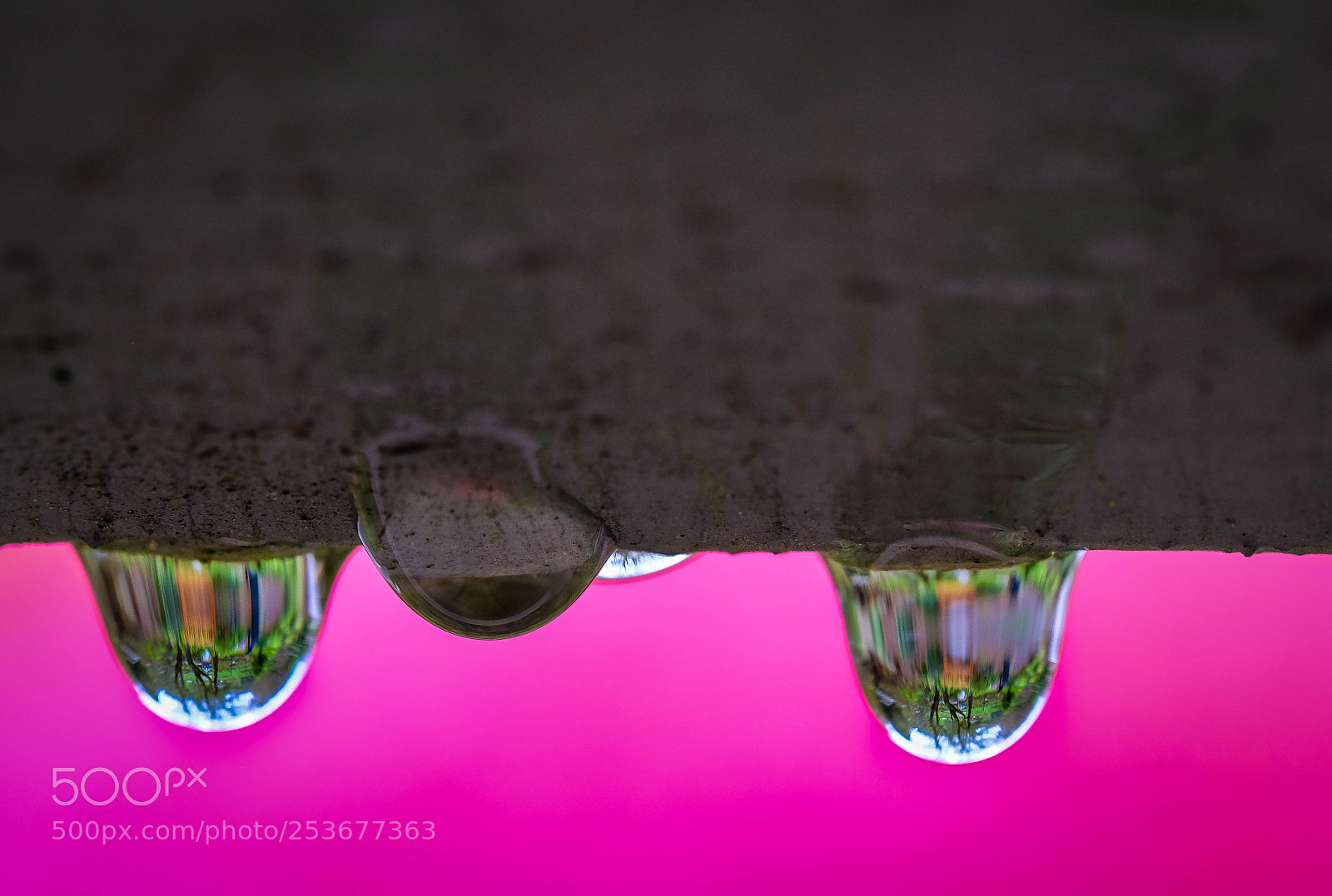 Fujifilm X-T2 sample photo. Raindrops photography