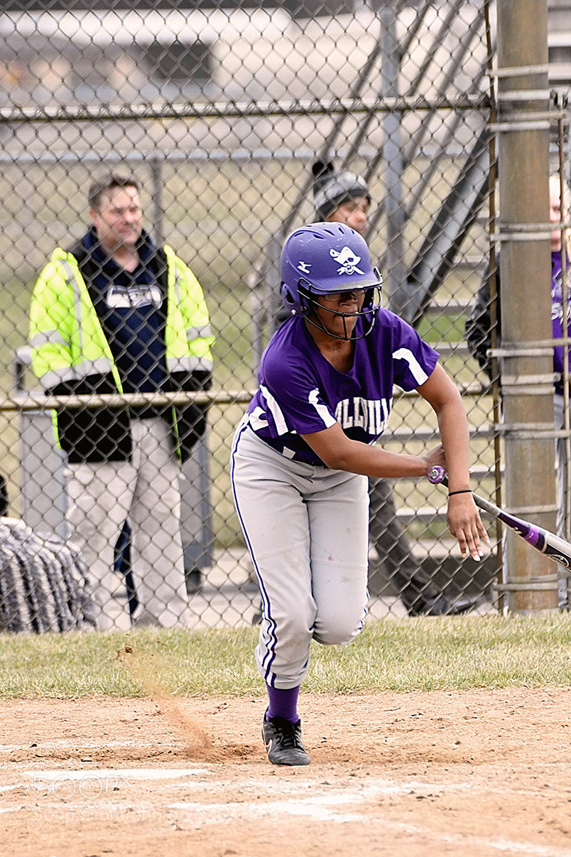Nikon D500 sample photo. Softball photography