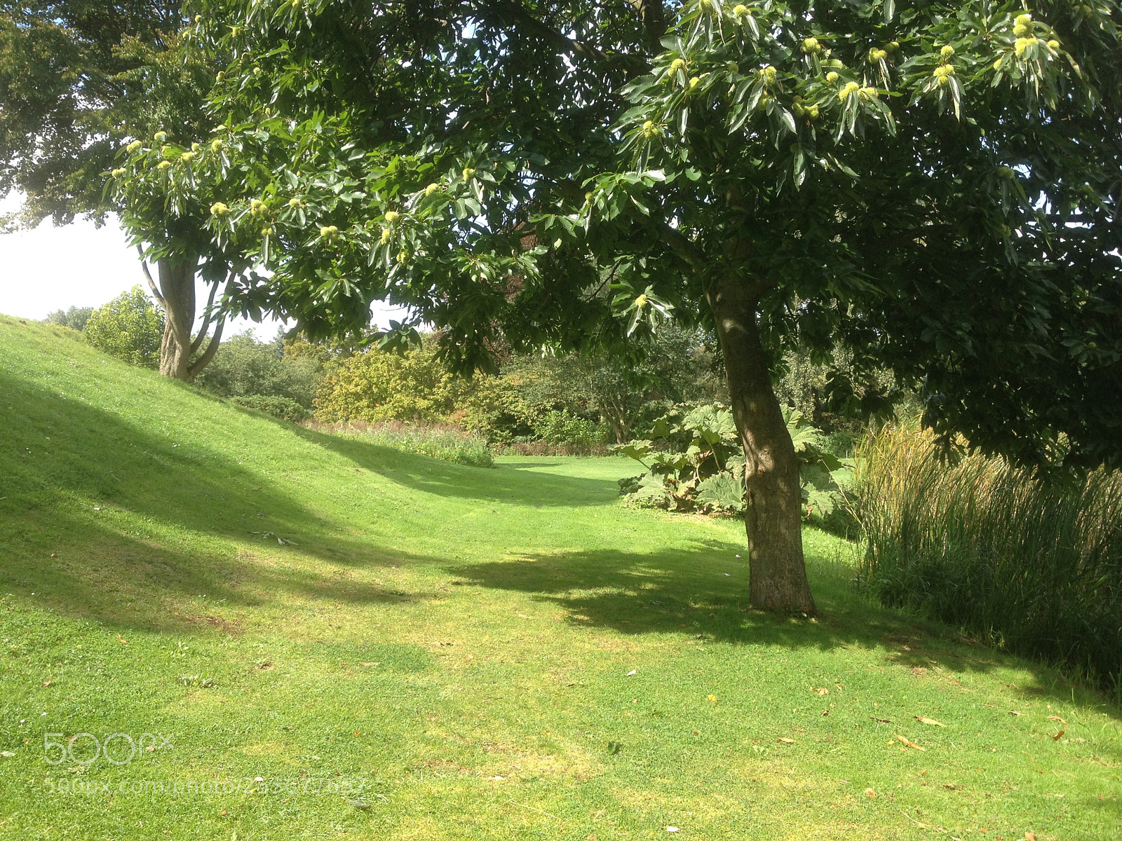 Apple iPhone 4S sample photo. Westbroekpark scheveningen photography